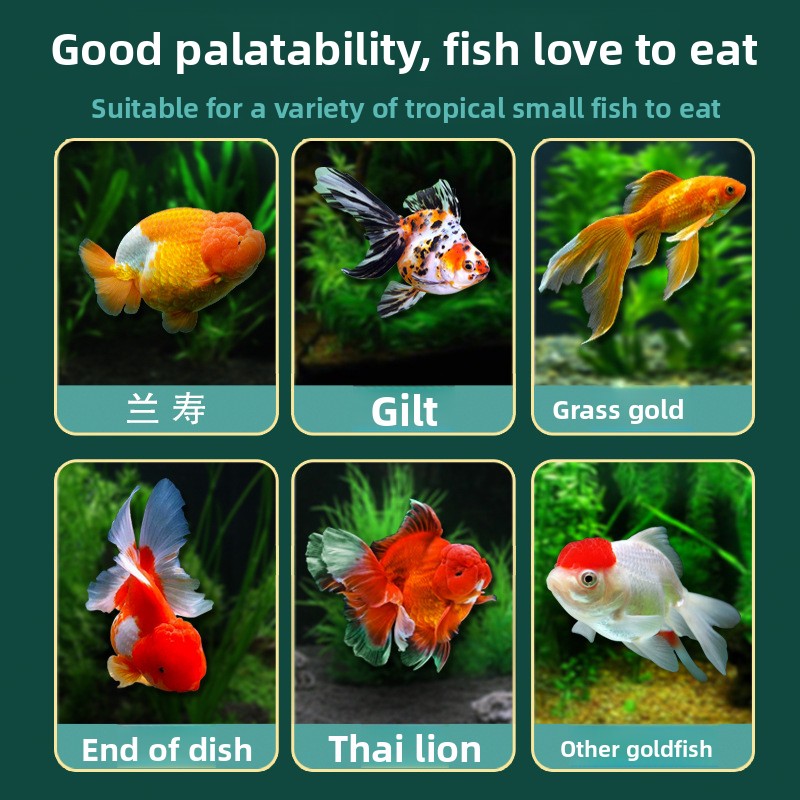 DEERA Micro Pellets Goldfish F - Baby Food Diet 评论和价格