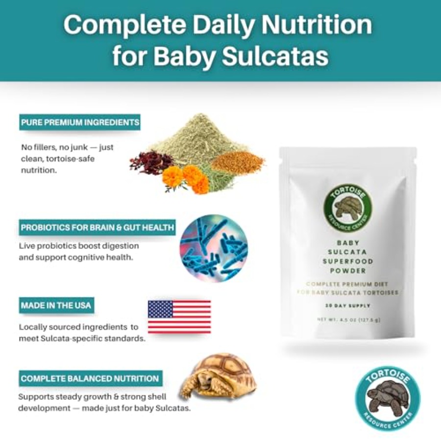 【Spot goods】Baby Sulcata Food  - Baby Food Diet 评论和价格
