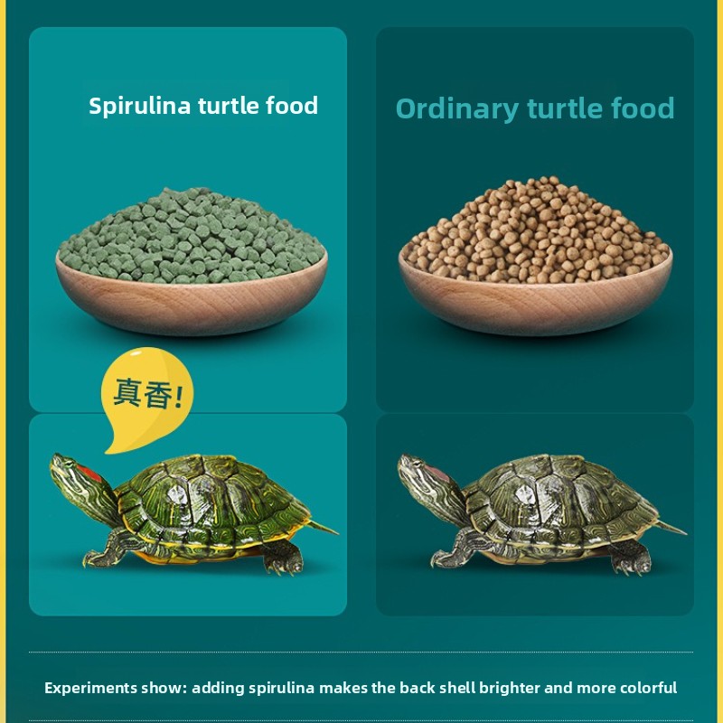 DEERA Red Eared Slider Turtle  - Baby Food Diet 评论和价格