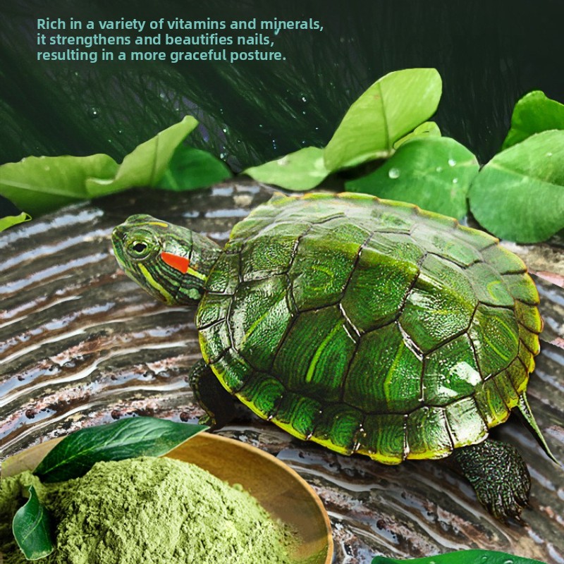 DEERA Red Eared Slider Turtle  - Baby Food Diet 评论和价格