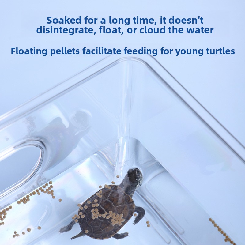 Vibes Baby Turtle Food - Easy  - Baby Food Diet 评论和价格